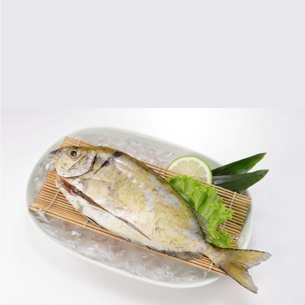 野生象魚,澎湖黑水溝ㄟ鮮,(一日乾)天然海味,(一日乾)海貨,(一日乾)海味,(一日乾)海鮮烤物,(一日乾)烤物